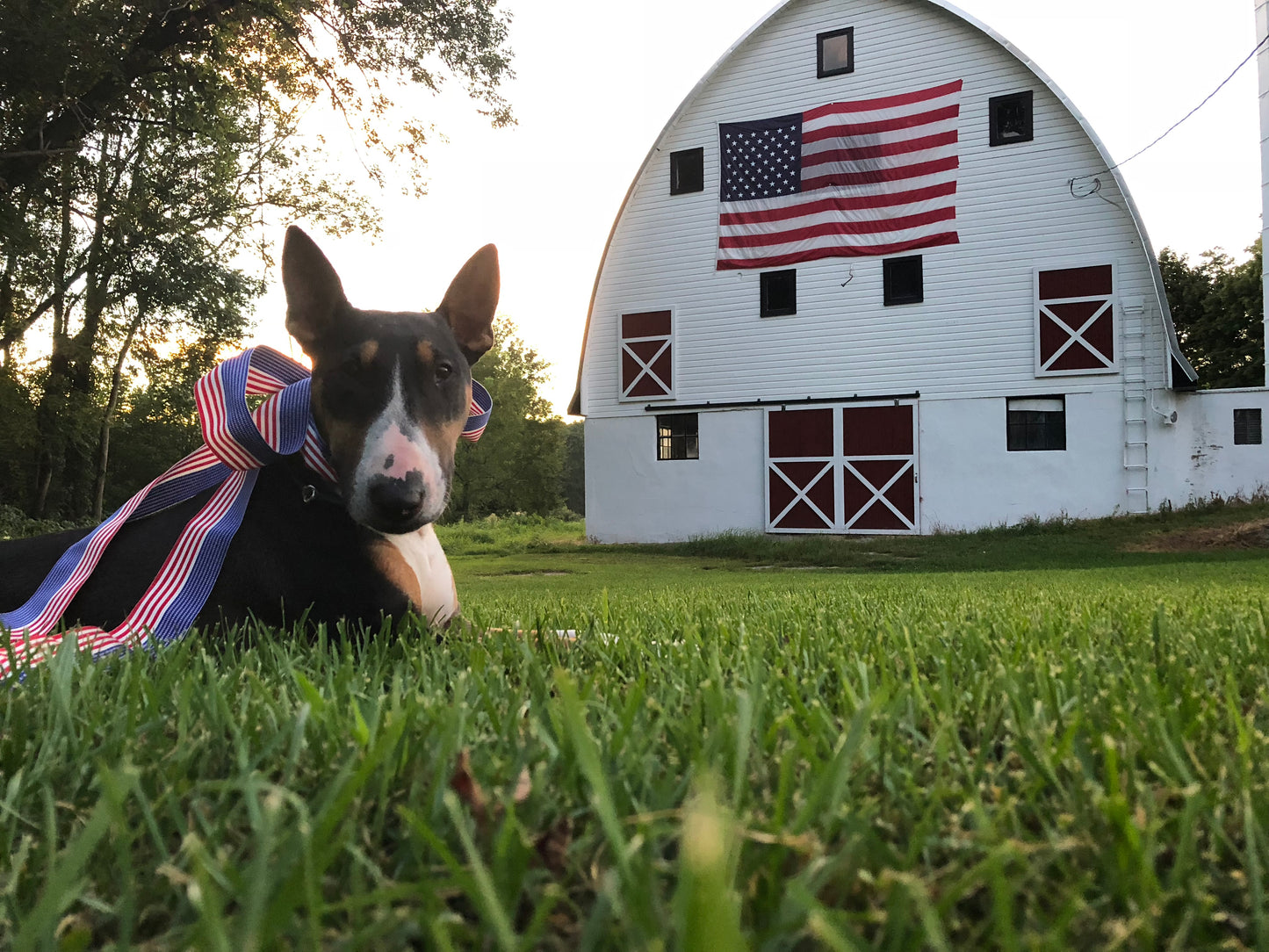 "American Flag" 1-3/8" Grosgrain Ribbon