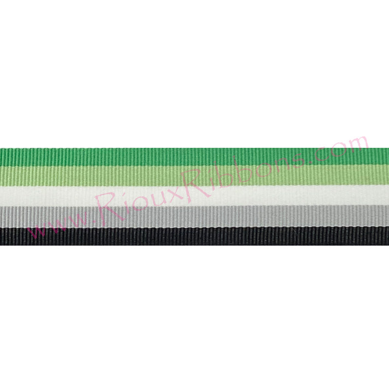 "Aromantic Pride" 1-3/8" Grosgrain Ribbon