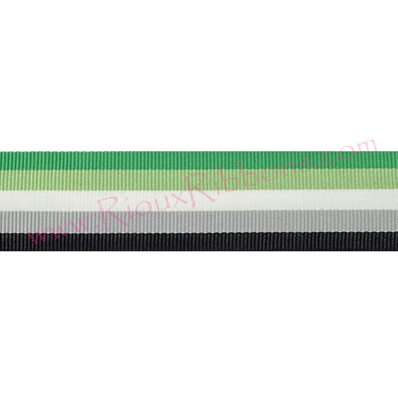 "Aromantic Pride" 1-3/8" Grosgrain Ribbon