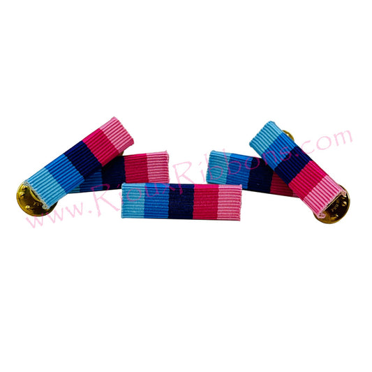 Omnisexual Pride Ribbon Front Pins