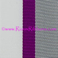 "Demisexual Pride" 1 3/8" Grosgrain Ribbon